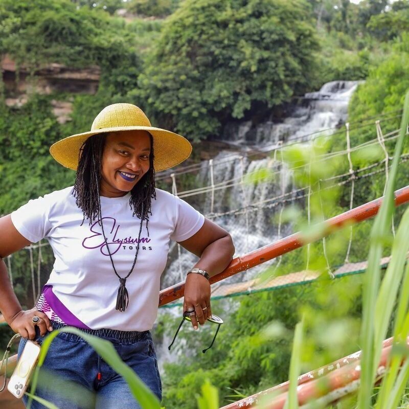 The Northern Tour with Elysium