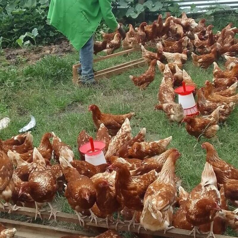 Celebrations of New Members