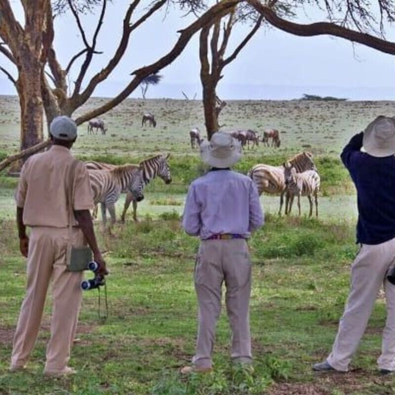 Nairobi National Park