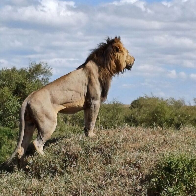 FAM TRIP for Travel Agents