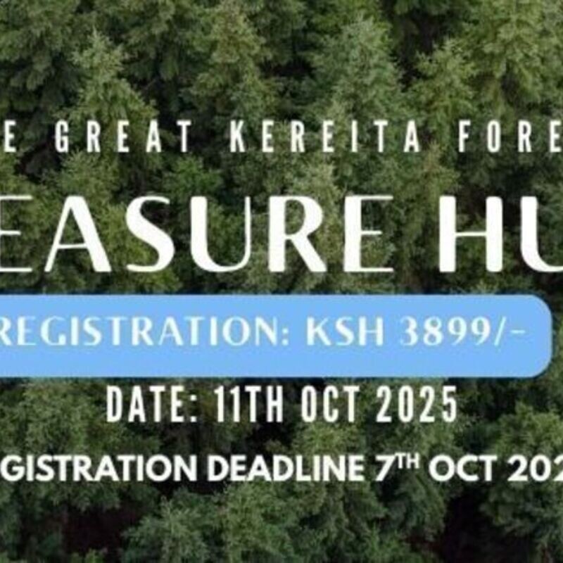 The Great Kereita Forest Treasure Hunt