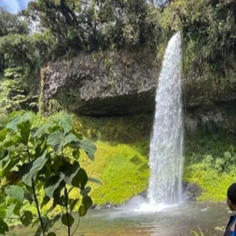 Tour castle forest lodge in Kirinyaga