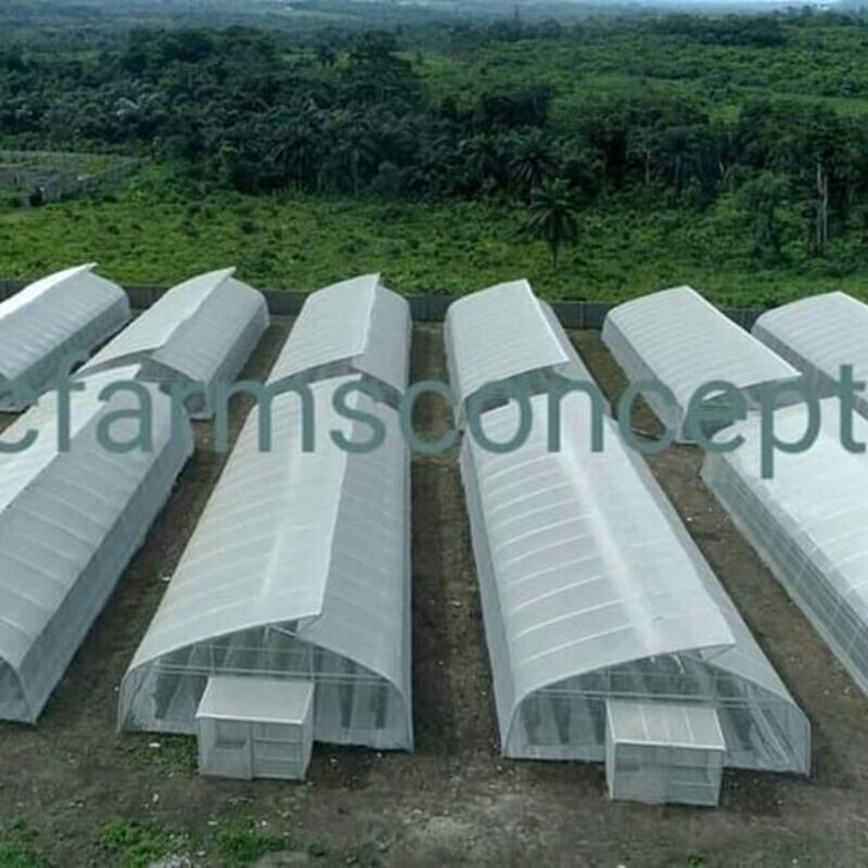 Maximizing Soilless Farming and Agribusiness Masterclass Training