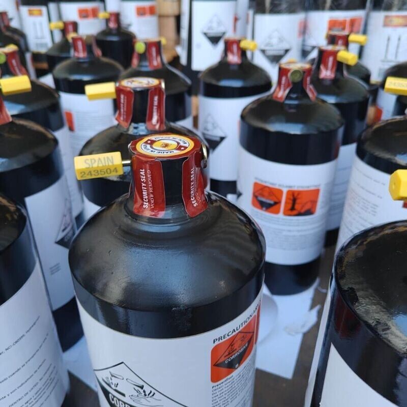 Spanish Silver Mercury