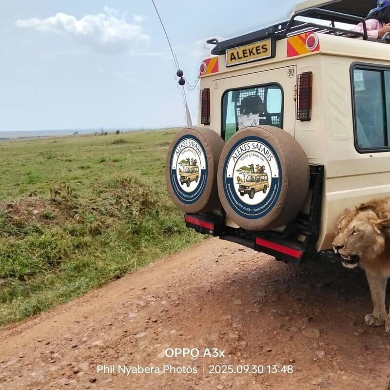 Kenya Safaris