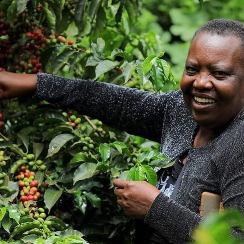 2nd CHINA- LINYI INTERNATIONAL COMMODITY EXP