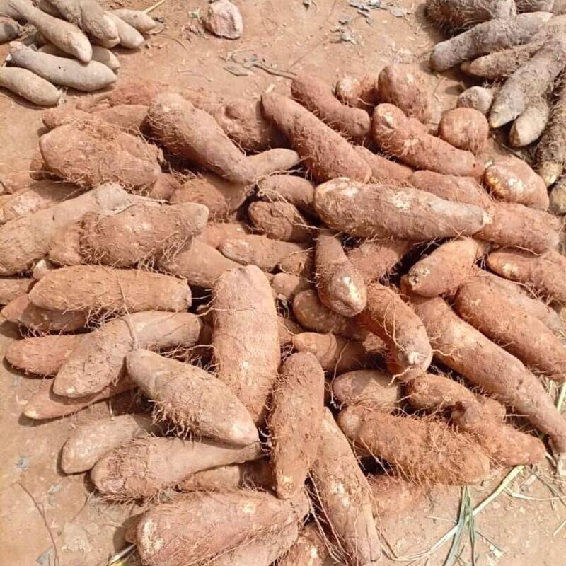 Buying and Selling in Local Village Markets