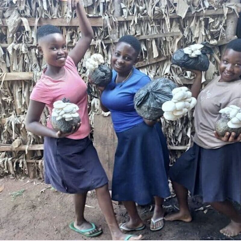 3rd Annual African Rising Mushroom Festival