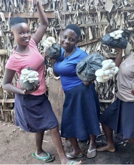 3rd Annual African Rising Mushroom Festival