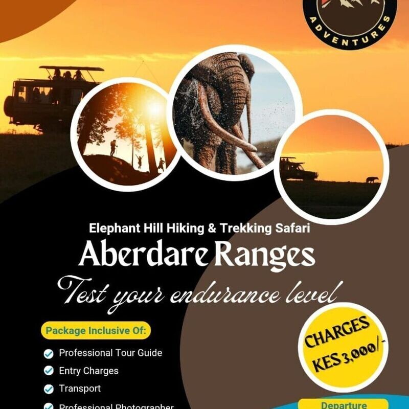 Test your Endurance Level