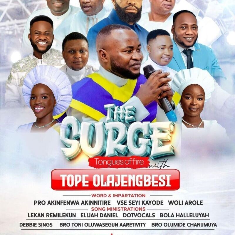 Tope Olajengbesi The Surge