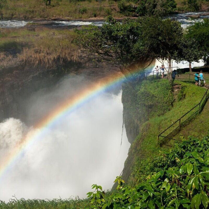 Red Chilli Murchison Falls 3 Day Falls and Game Safari at $370pp