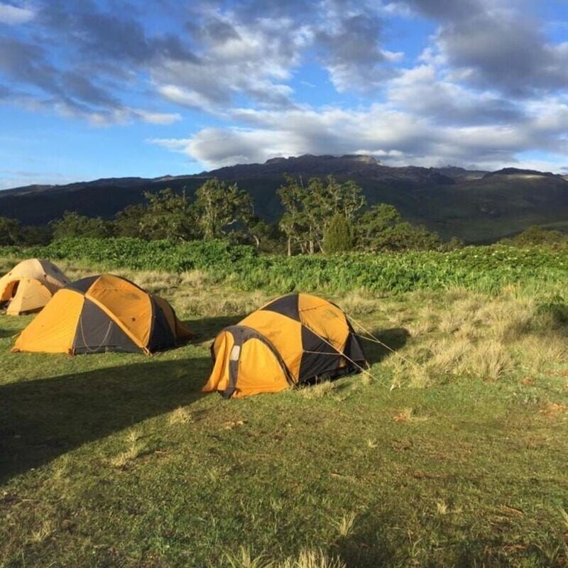 Hikemaniak Mt Kenya Kamweti- Chogoria