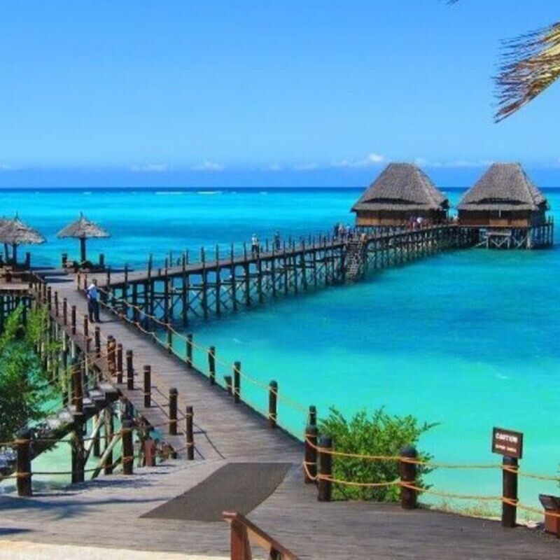 Festive Season Safaris (Dec 2025)