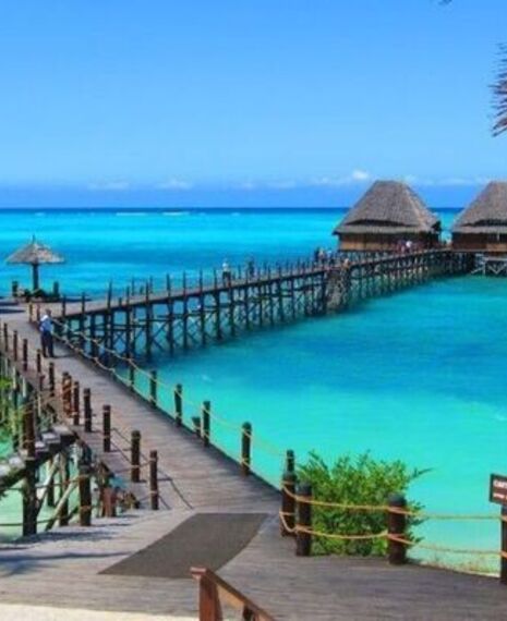 Festive Season Safaris (Dec 2025)