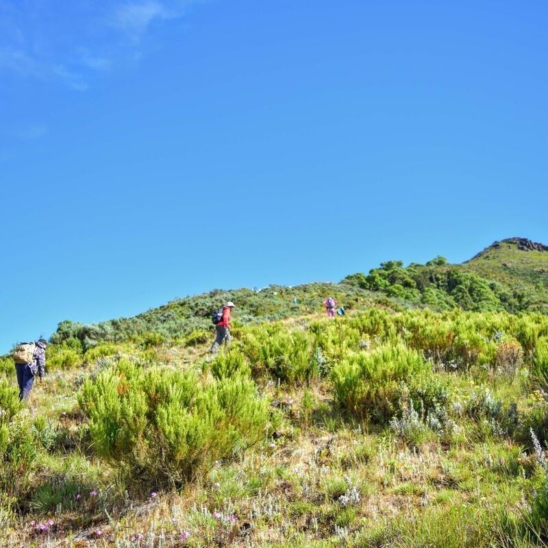 Hikemaniak Rurimeria- Rhino-Table Mountain Traverse