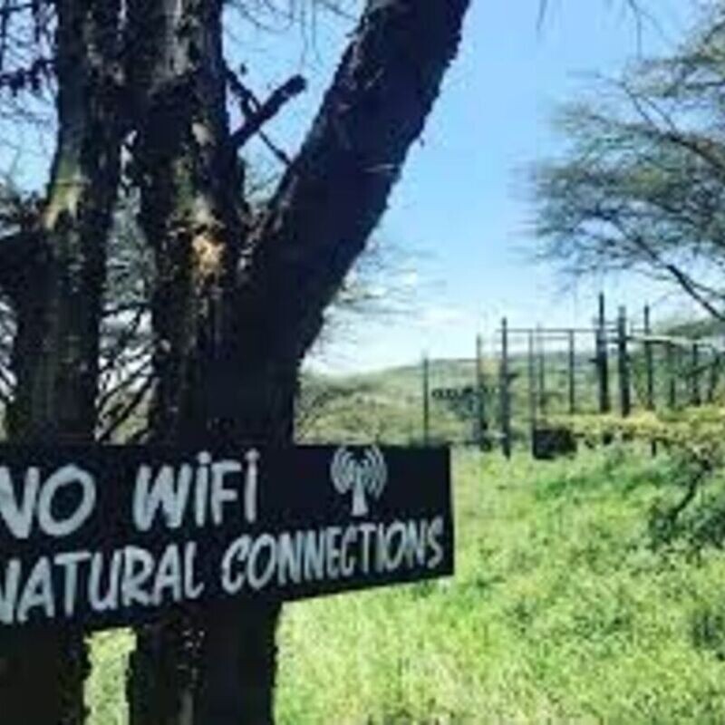 Off Grid: The Wild Reset | Camping Experience