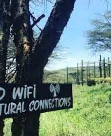 Off Grid: The Wild Reset | Camping Experience