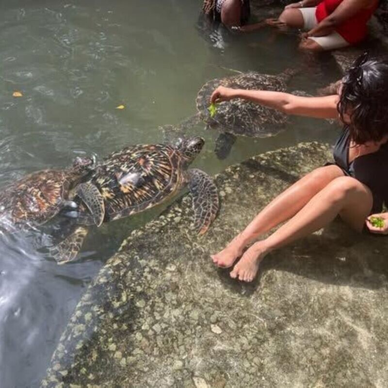 6 Days Zanzibar Tour from 20th to 27th Dec @KSH 65,000