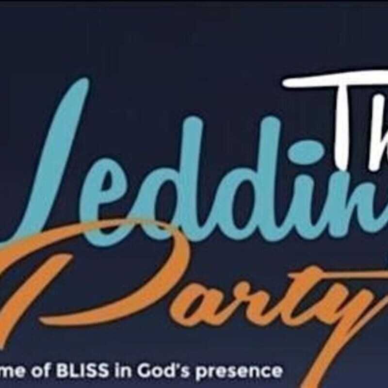 THE WEDDING PARTY 2.0