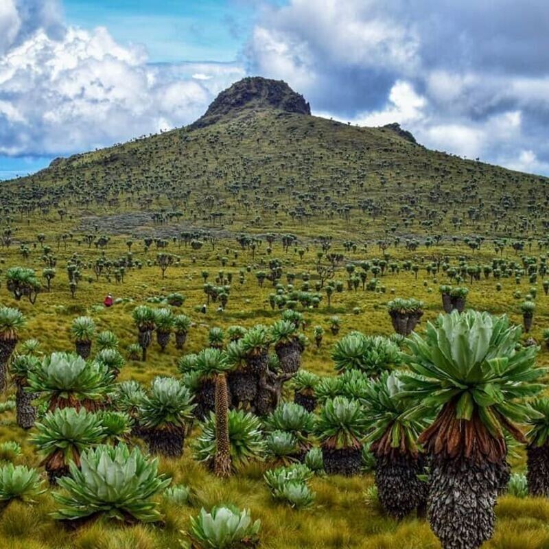 Hikemaniak Rurimeria Table Mountain Traverse