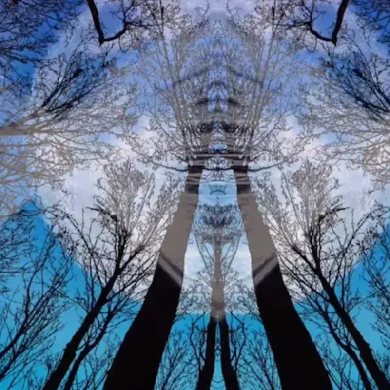 Yaima in Kampala Capital City