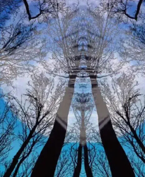 Yaima in Kampala Capital City