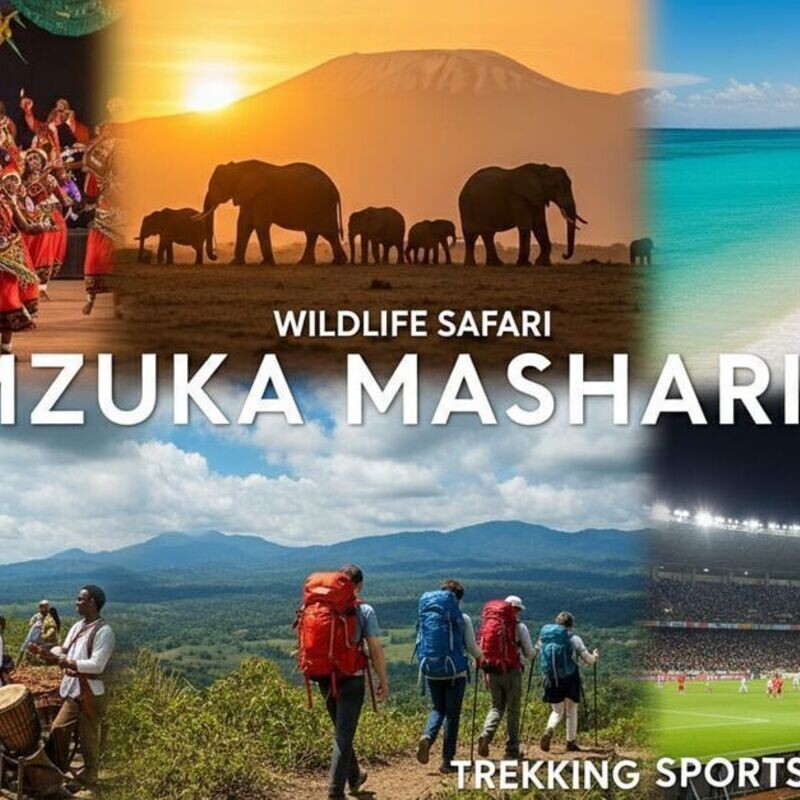 Kampala City Festival + Music & Street Food (Uganda)