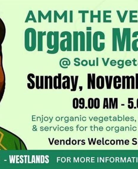 Organic Market @ Soul Vegetarian 5.0