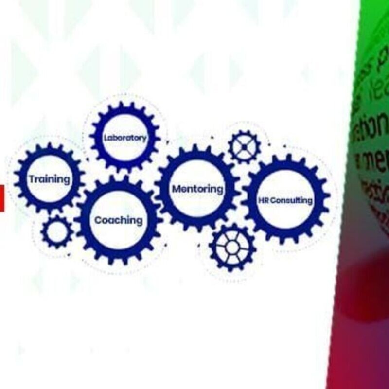 MasterMind Program Cohort 2