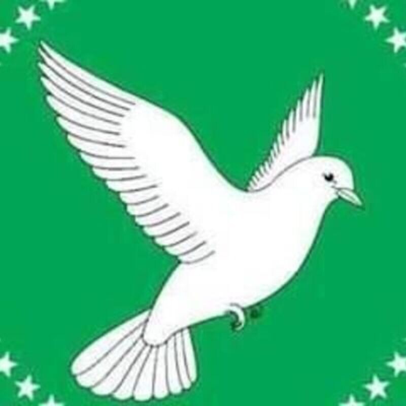 Inauguration Ceremony of King Joseph I