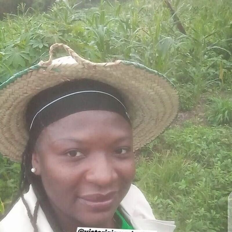 BOOK INSPECTION TODAY - virtual or physical. Starting from today. Send a Dm