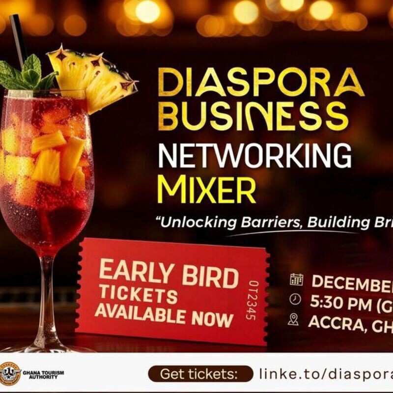 Diaspora Business Networking Mixer