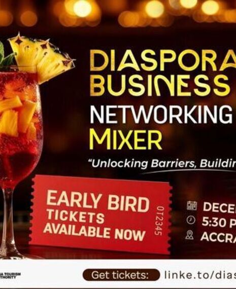 Diaspora Business Networking Mixer