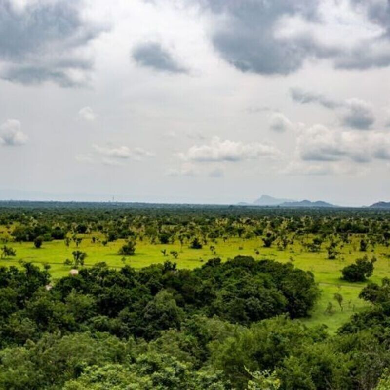 Shai Highs & Wild Sights: A Visit to Shai Hills National Reserve