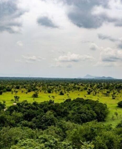 Shai Highs & Wild Sights: A Visit to Shai Hills National Reserve