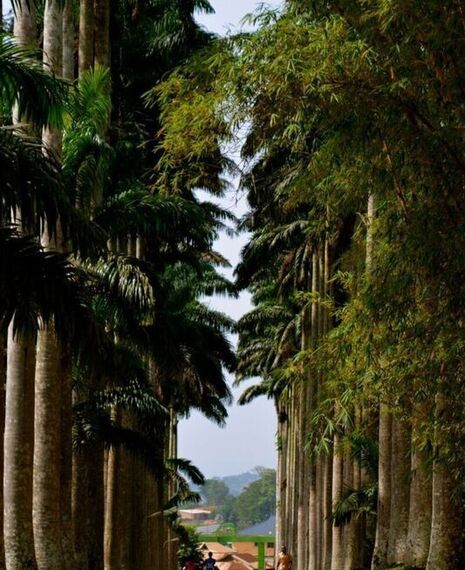 Trails & Tales: A Day in Aburi