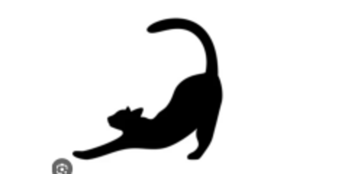 Mungai Eve Drops Drama Warning